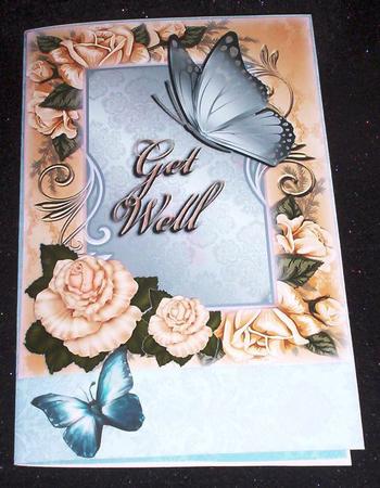 Get Well-roses and Butterfly #1 by Sharon Wilson