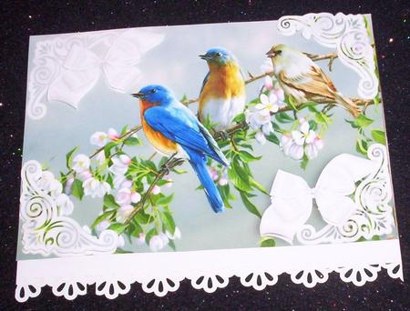 Birds Sitting on a Branch of Pink Blossoms A4 by Sharon Wilson