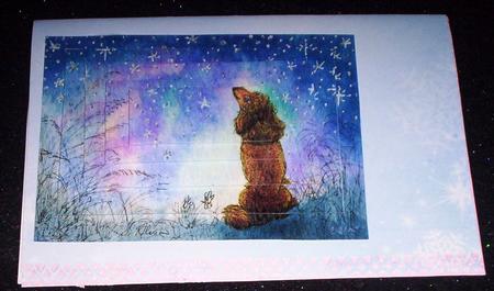 Poodle Looking to the Stars for Inspiration Pyramage by Sharon Wilson