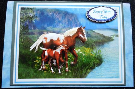 Beautiful Mare and Colt by Sharon Wilson