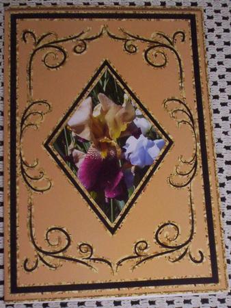 Diamond Aperture Card 2 by Sharon Wilson