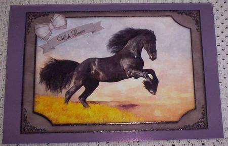 Wild Stallion Horse Watercolour Quick Card by Sharon Wilson