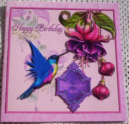 Summer Fuchsia 2 by Sharon Wilson