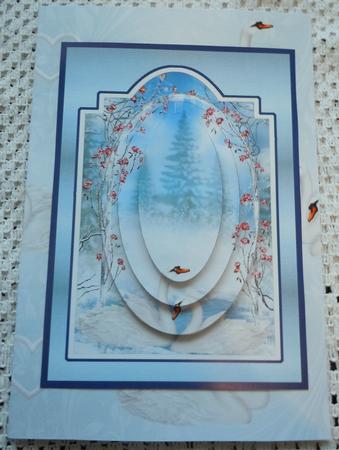 Winter Swans by Sharon Wilson