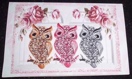 Diamond Owls on Branches with Pink Roses A4 by Sharon Wilson