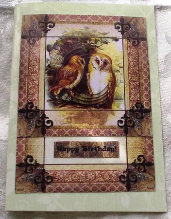 A Sweet owl couple by Sharon Wilson