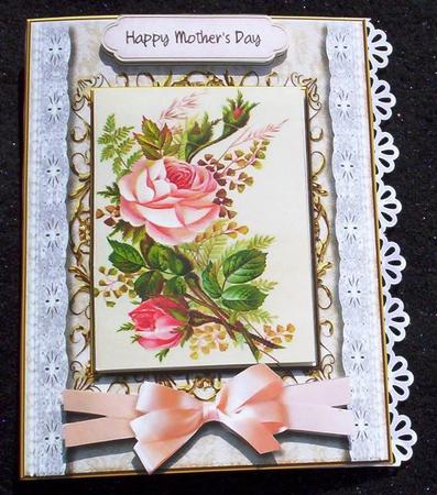 Beautiful English Rose by Sharon Wilson