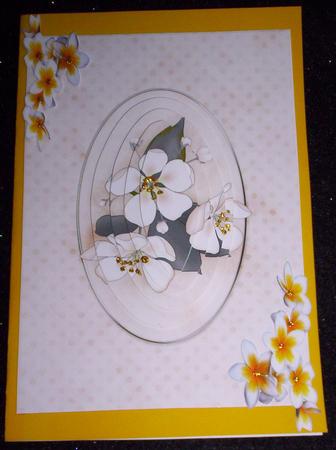 Apple Blossom Quick Card with Pyramage by Sharon Wilson
