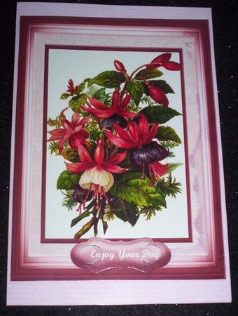 Beautiful Pyramid Fushias in a Shadow Frame  by Sharon Wilson