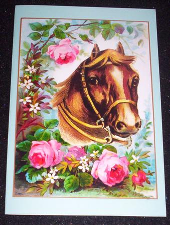 Horse Among the Roses A4 by Sharon Wilson