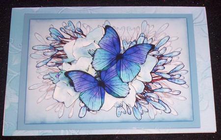 A4 Butterflies N Flowers Card Topper by Sharon Wilson