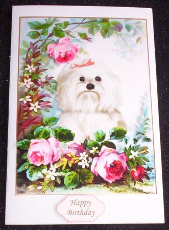 Cute Westie with Rose in the Garden A4 by Sharon Wilson