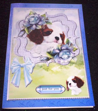 Scallop Cute Puppy 3 by Sharon Wilson