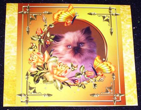 Golden Kitten by Sharon Wilson