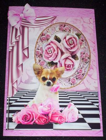 Cute Chihuahua with Pink Roses by Sharon Wilson