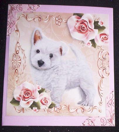 Cute Fluffy White Puppy 8x8 by Sharon Wilson