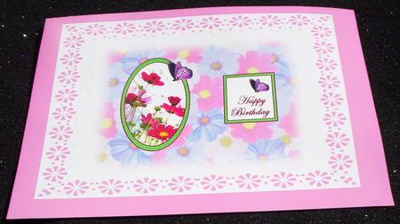 Cosmos Insert by Sharon Wilson