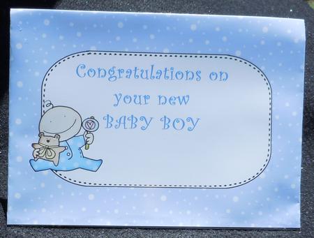 5 x 7 Pastel Shades Christmas Snow Envelopes Kit by Sharon Wilson