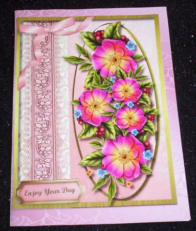 Beautiful Pink Flowers on Lace  by Sharon Wilson