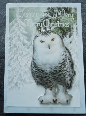 Snowy White Owl in Snow Scene A4 by Sharon Wilson