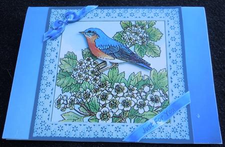 Ribbons and Lace - Blue Bird by Sharon Wilson
