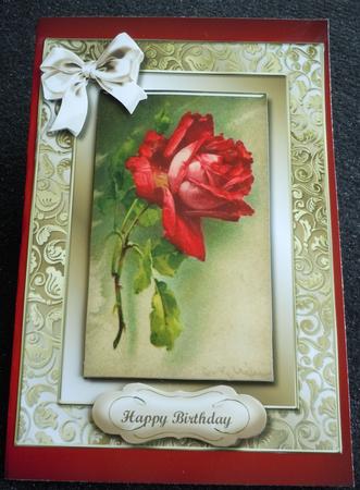 Beautiful Rose in a Gilded Frame  by Sharon Wilson