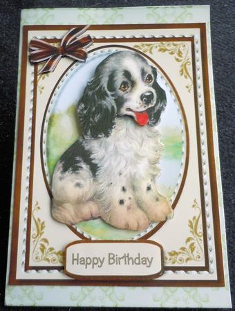Beautiful Spaniel Pup by Sharon Wilson