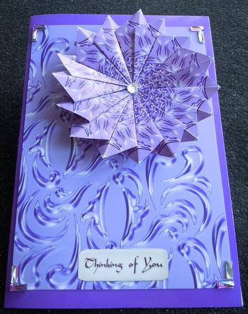 T&t, Sarai, Purple by Sharon Wilson