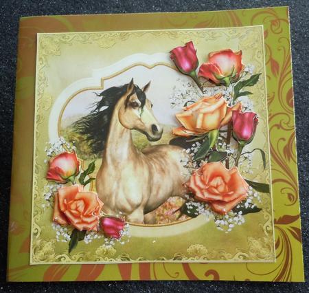 Beautiful Horse by Sharon Wilson