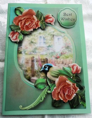 Green Jay & Pink Roses by Sharon Wilson