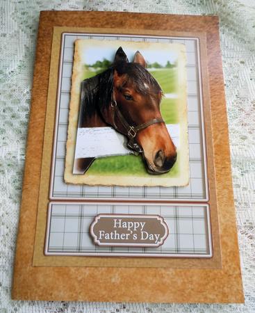 Horse Portrait 2 by Sharon Wilson