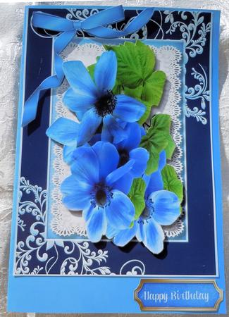 Beautiful Blue Flowers on Butterfly Lace  by Sharon Wilson