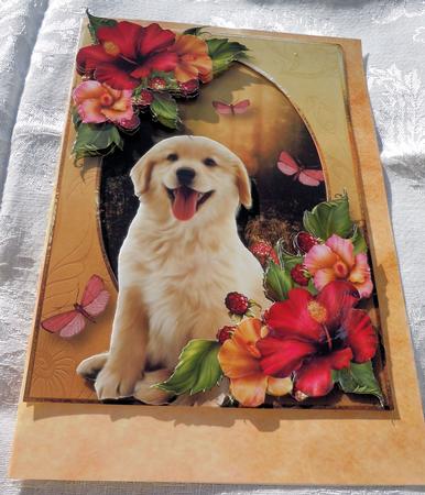 Golden Retriever Pup & Hibiscus Flowers by Sharon Wilson