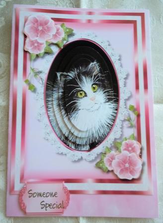Beautiful Cat in a Oval Lace Frame , Pyramid  by Sharon Wilson