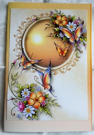 Petals & Wings Sunset by Sharon Wilson