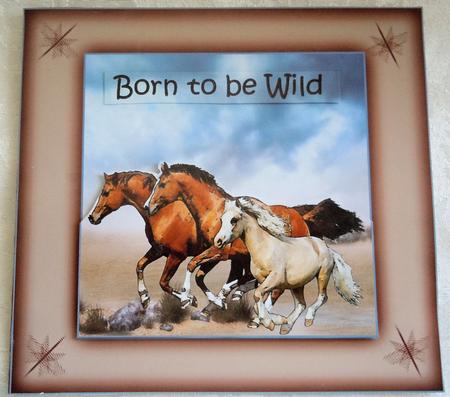 Born to Be Wild by Sharon Wilson