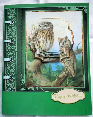 Two Owls Card with Shaped Layers by Sharon Wilson