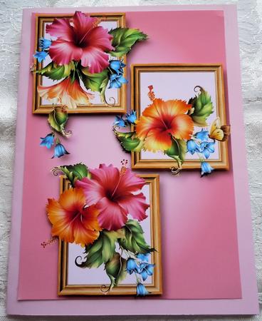 Pink & Peach Hibiscus Frame Trio by Sharon Wilson