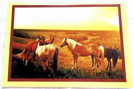 Horses at Sunset A4 by Sharon Wilson