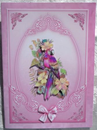 The Beauty of the Swan Card Fronts by Sharon Wilson