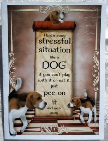 Handle Every Stressful Situation Like a Dog - beagle by Sharon Wilson