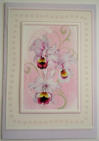 A4 Orchid Card Perfect for a Birthday Mothers Day Get Well or Thinking of You by Sharon Wilson