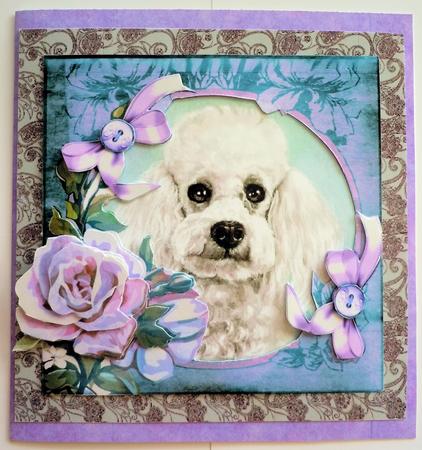 Poodle Puppy by Sharon Wilson