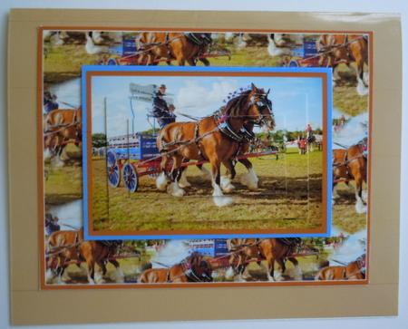 Shire Horses by Sharon Wilson