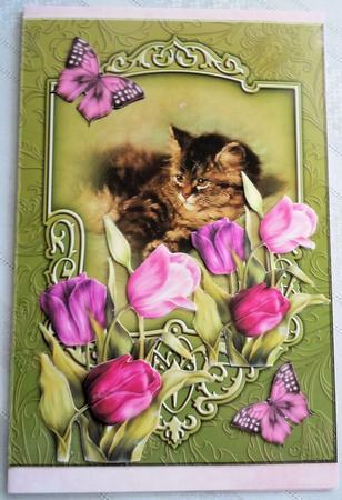 Cat and Tulips by Sharon Wilson