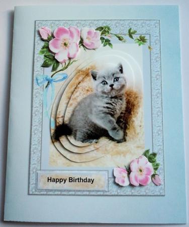 Little Pretty Kitty by Sharon Wilson