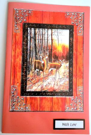 Deer by Sharon Wilson