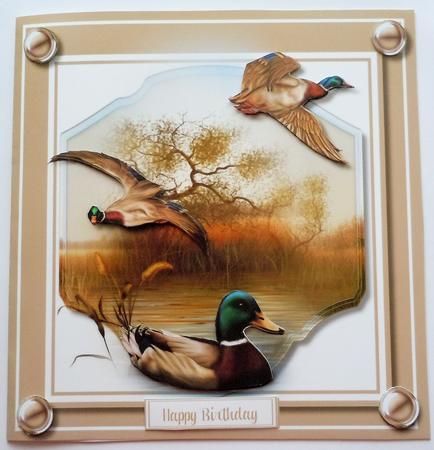 Mallard Ducks in the Reeds  by Sharon Wilson