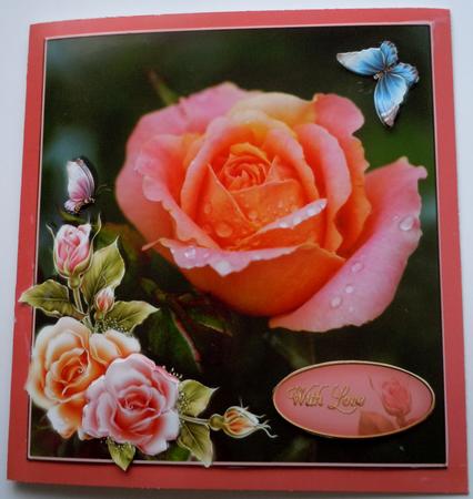 Morning Rose by Sharon Wilson
