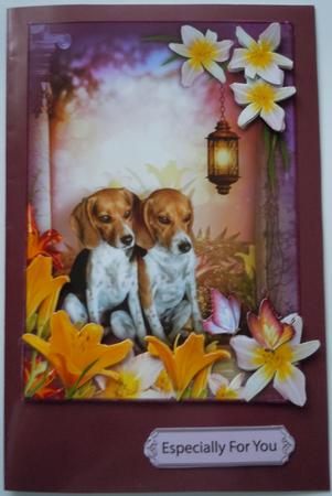 Yellow Flowers Front by Sharon Wilson